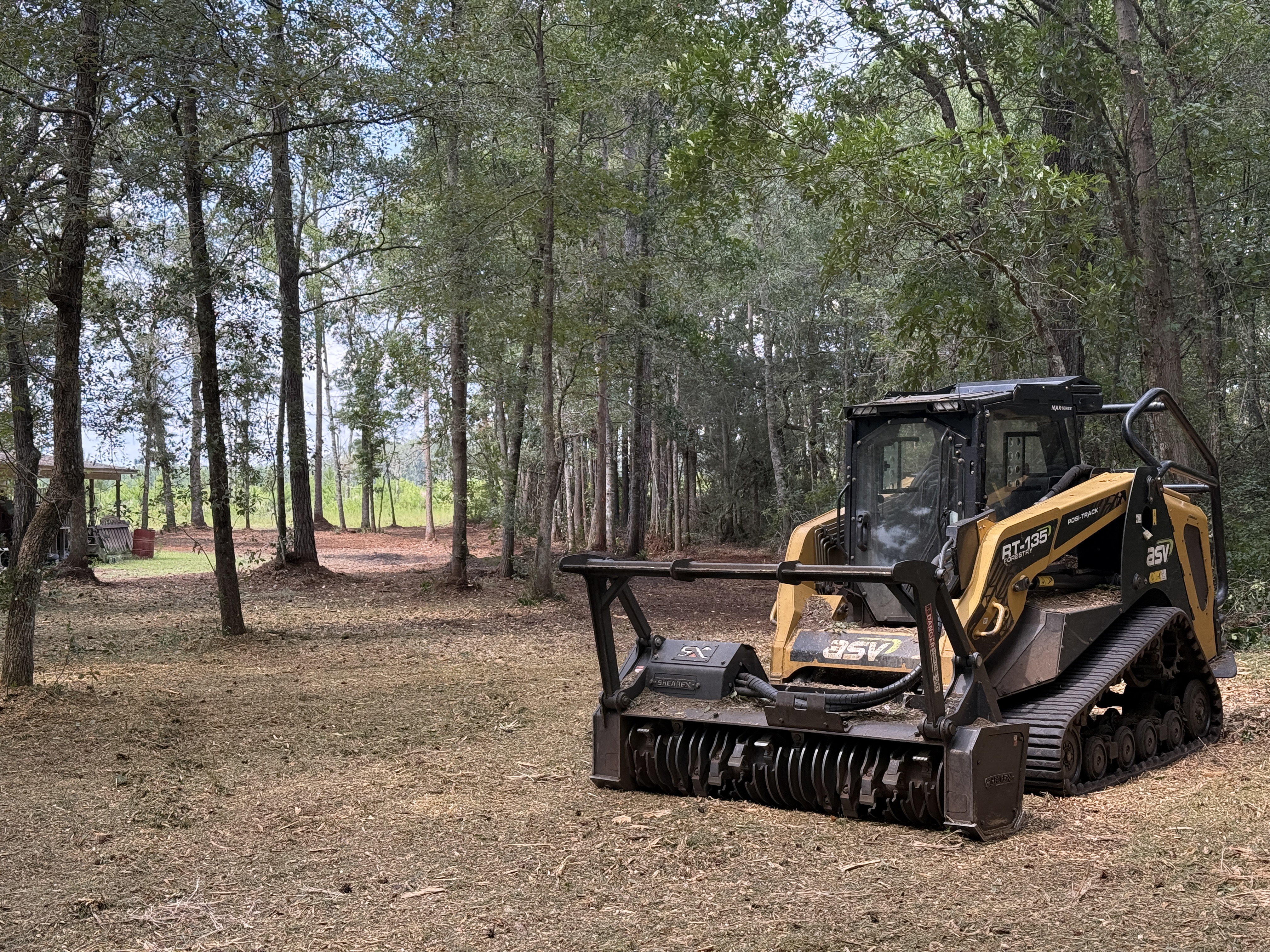 Compact track loader with a forestry mulching head clearing underbrush in a pine forest