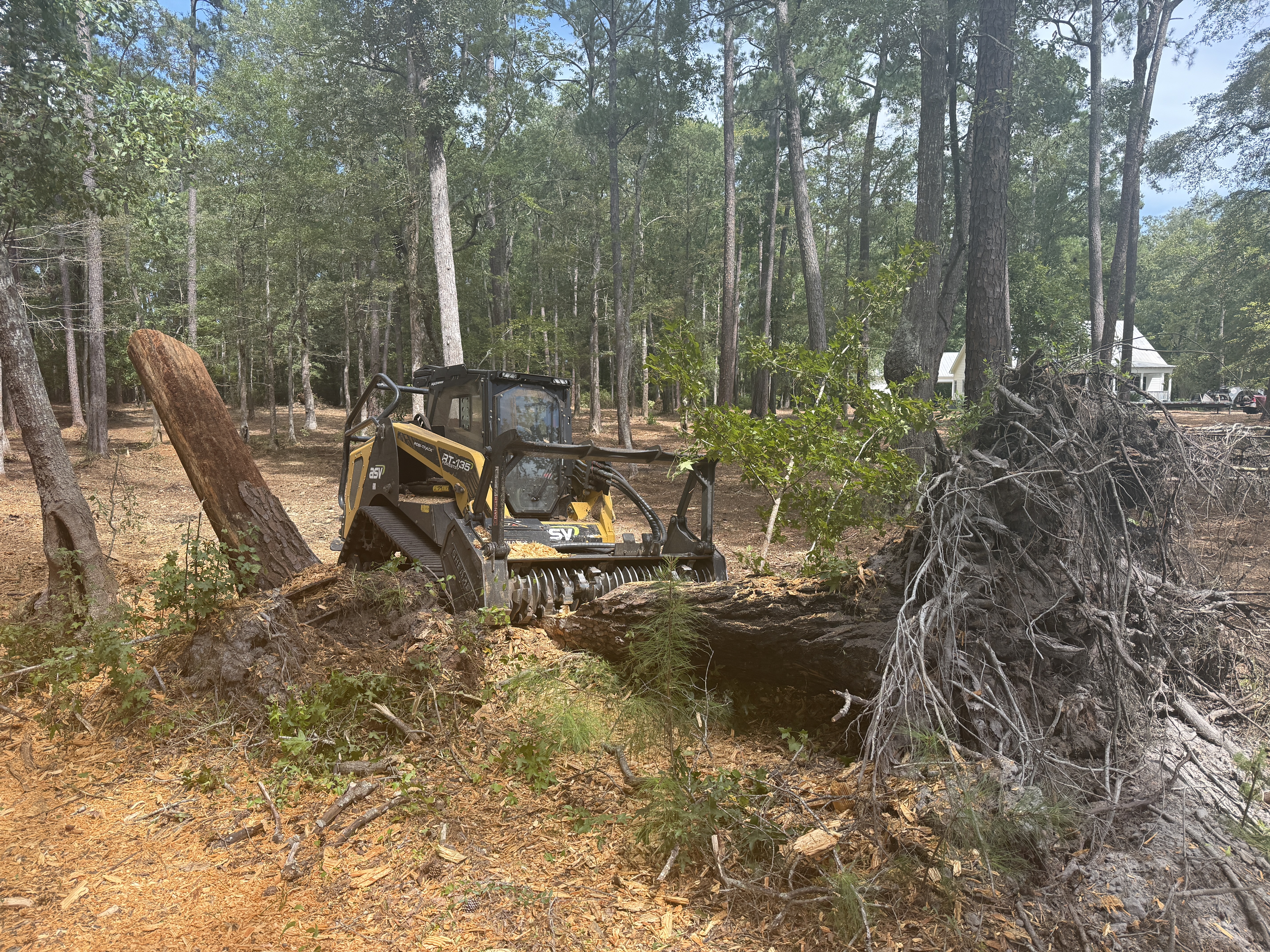 The same property before forestry mulching, thick with brush